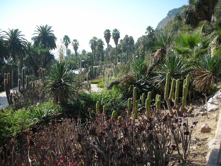 jardins_de_mossen_costa_i_llobera_2_0