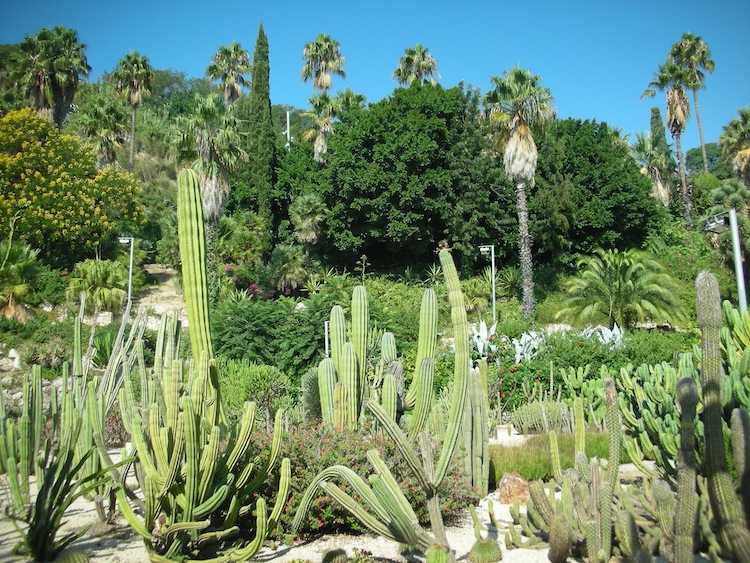 jardins_de_mossen_costa_i_llobera_4_0