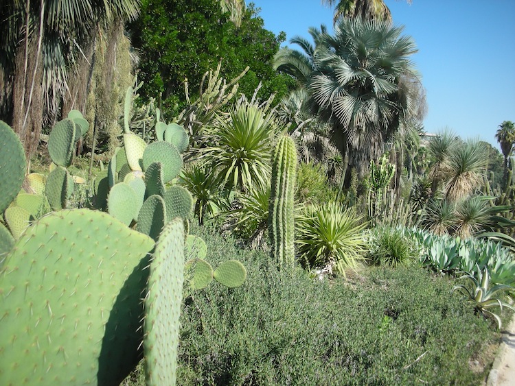 jardins_de_mossen_costa_i_llobera_5_0