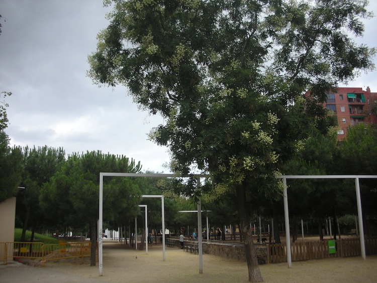 parc_del_clot_1_0